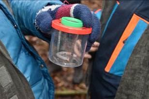 Kinder halten eine Becherlupe mit einem Regenwurm. Sie beobachten das Tier und lernen es so kennen.