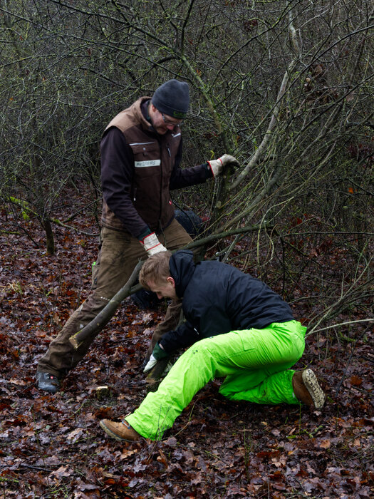 Hutewaldeinsatz mit BIK Bürgermeister Moßmeyer mit Schüler:innen beim Schneiden