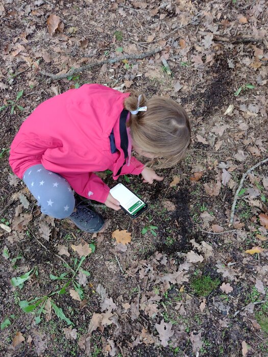 Mädchen entdeckt mit Hilfe der Frankenhöhe App Bodelebewesen