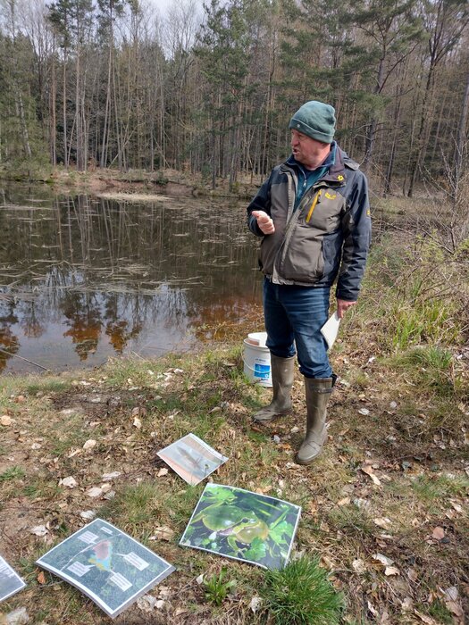 Uli Messlinger erklärt die Bedeutung der Kleingewässer für den Laubfrosch