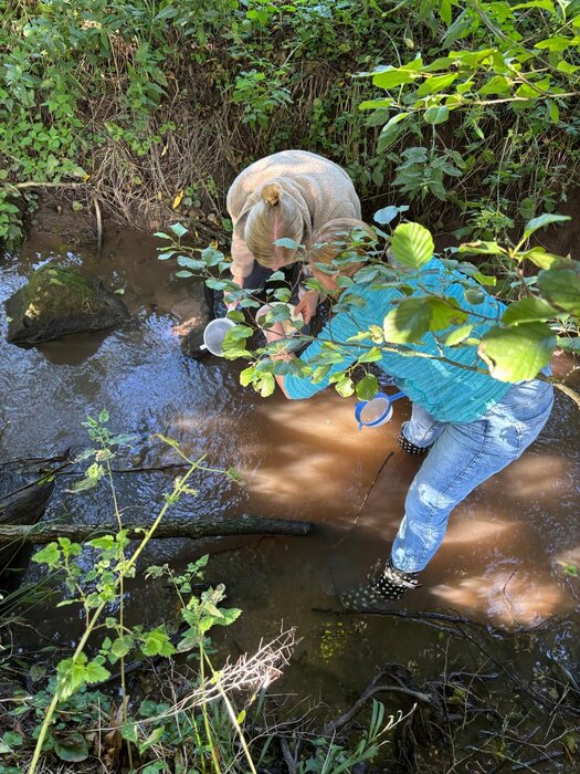 Keschern am Gewässer